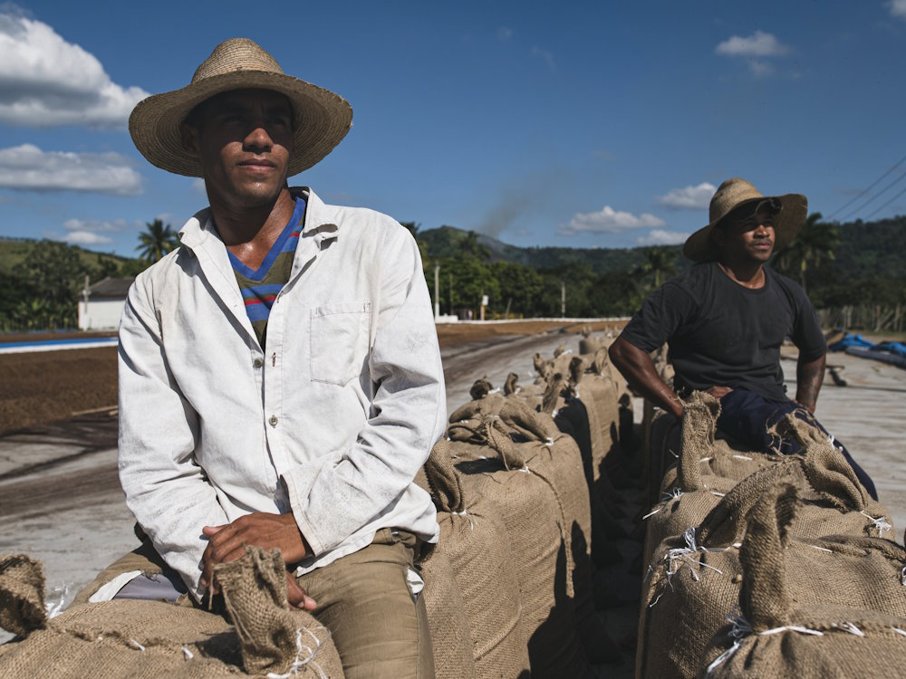 Dva farmáři v kloboucích sedící na pytlích s kávou